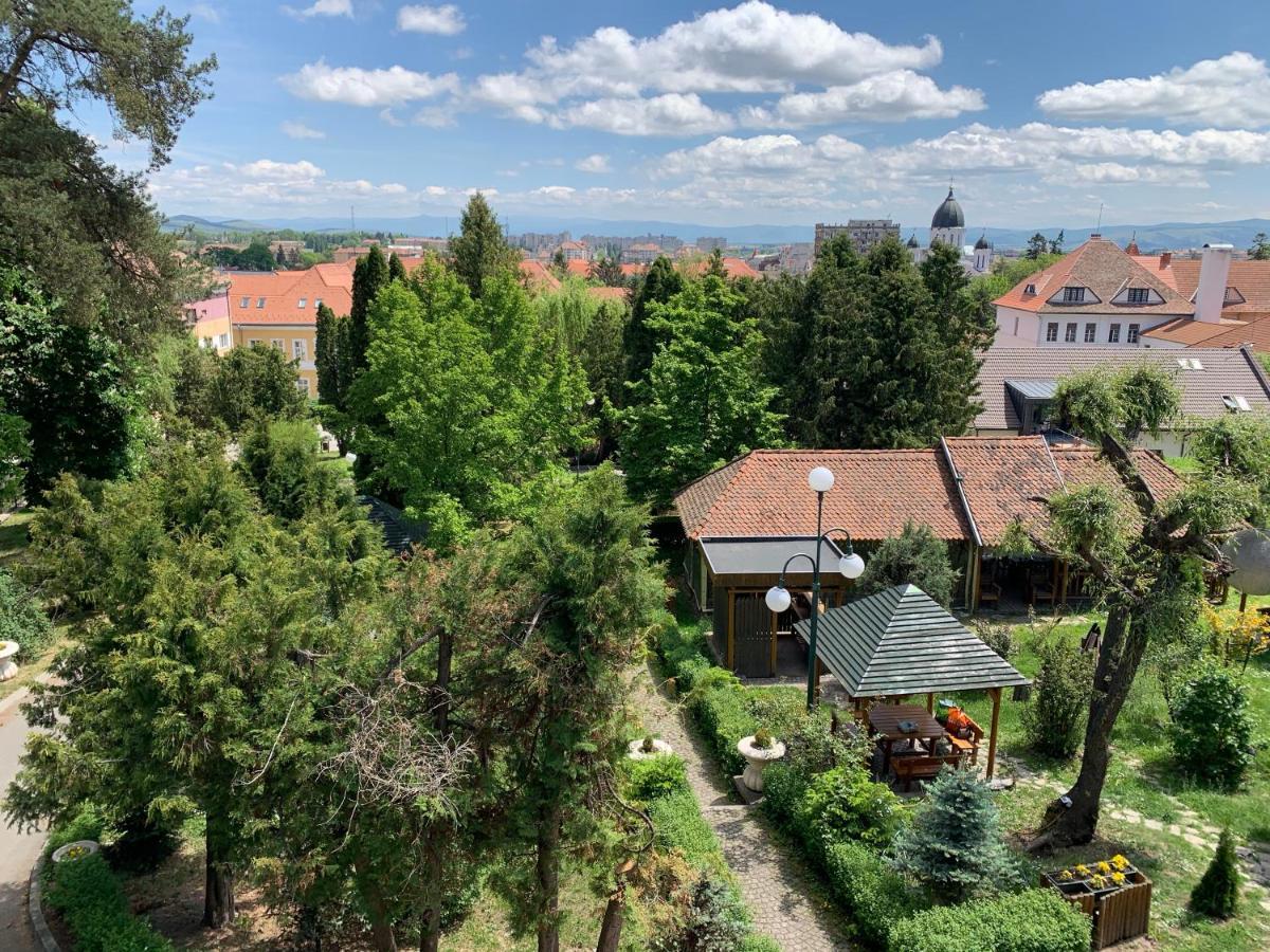 Park Gheorghe Sfantu Gheorghe (Covasna)